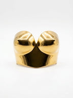 3D Project |  Acrylic plated chromatic chest armor for Fashion Royalty doll clothes